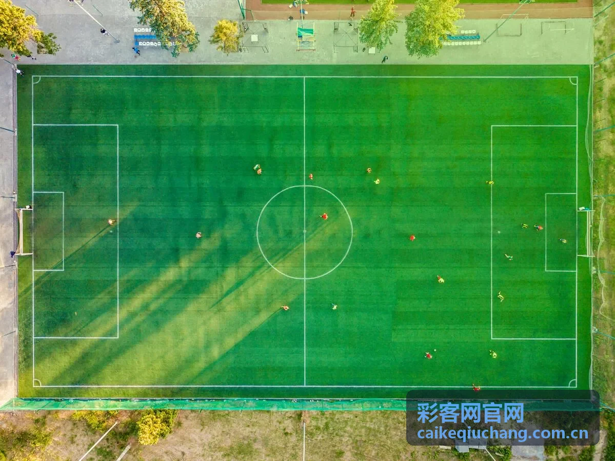 彩客网官网球迷服务热门专题票务答疑